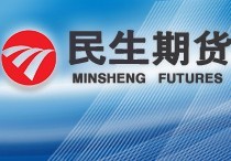 民生期货有限公司